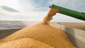 Экспортную пошлину на пшеницу из РФ понизили до $114,3